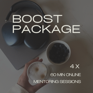 4 Online Mentoring Sessions  (60 min each)