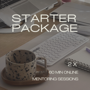 2 Online Mentoring Sessions (60 min each)