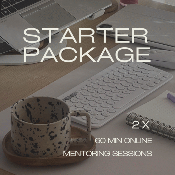 2 Online Mentoring Sessions (60 min each)